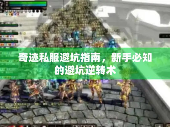 奇迹私服避坑指南，新手必知的避坑逆转术