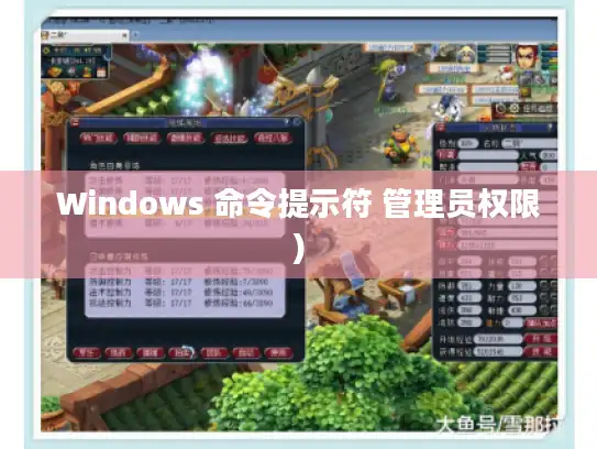 Windows 命令提示符 管理员权限)