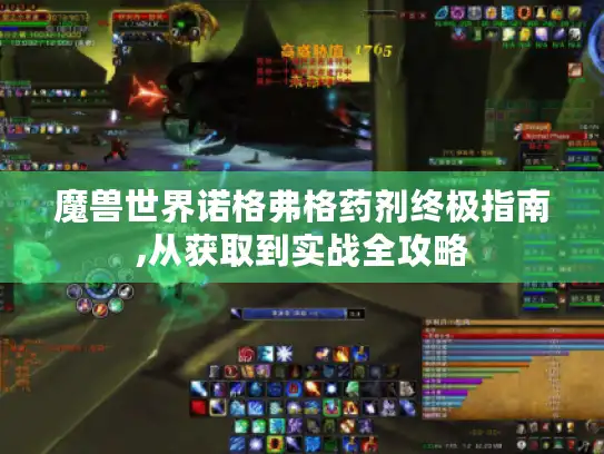 魔兽世界诺格弗格药剂终极指南,从获取到实战全攻略