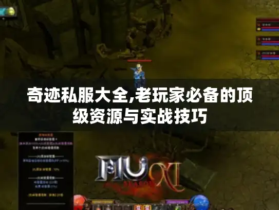 奇迹私服大全,老玩家必备的顶级资源与实战技巧 奇迹私服大全,老玩家必备的顶级资源与实战技巧