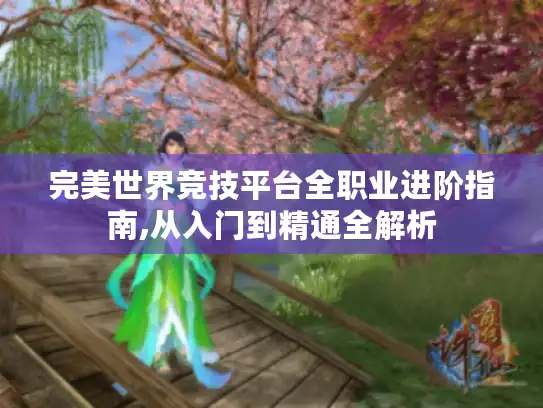 完美世界竞技平台全职业进阶指南,从入门到精通全解析