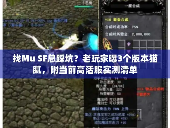 找Mu SF总踩坑?老玩家曝3个版本猫腻,附当前高活服实测清单 找Mu SF总踩坑?老玩家曝3个版本猫腻,附当前高活服实测清单