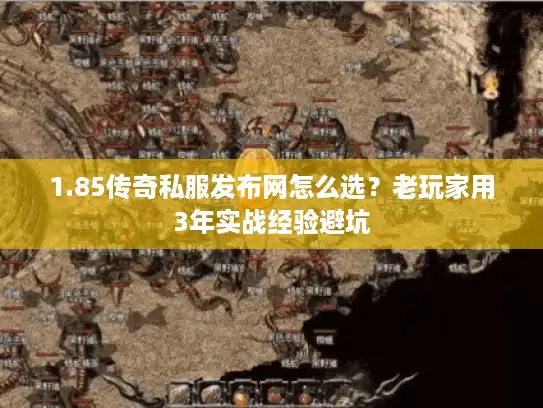 1.85传奇私服发布网怎么选？老玩家用3年实战经验避坑