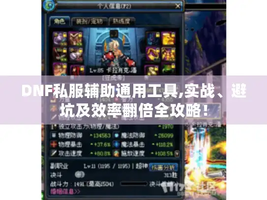 DNF私服辅助通用工具,实战、避坑及效率翻倍全攻略！