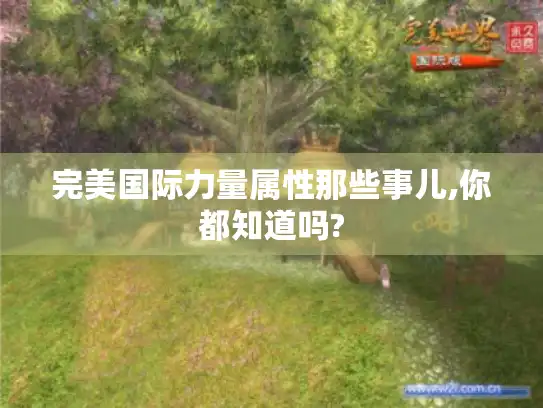 完美国际力量属性那些事儿,你都知道吗?