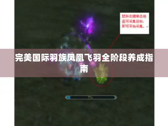 完美国际羽族凤凰飞羽全阶段养成指南 完美国际羽族凤凰飞羽全阶段养成指南