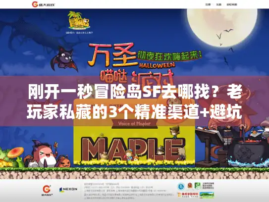 刚开一秒冒险岛SF去哪找?老玩家私藏的3个精准渠道+避坑指南 刚开一秒冒险岛SF去哪找?老玩家私藏的3个精准渠道+避坑指南