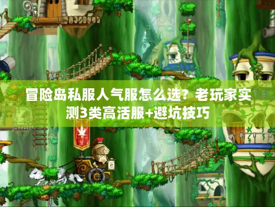 冒险岛私服人气服怎么选？老玩家实测3类高活服+避坑技巧