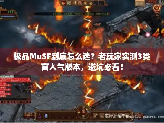 极品MuSF到底怎么选？老玩家实测3类高人气版本，避坑必看！