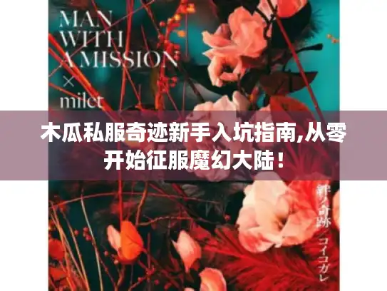 木瓜私服奇迹新手入坑指南,从零开始征服魔幻大陆！