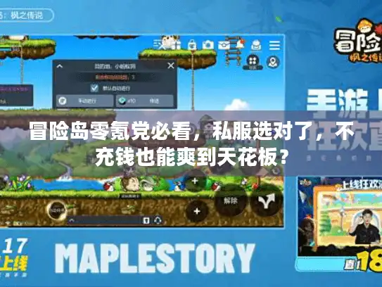 冒险岛零氪党必看，私服选对了，不充钱也能爽到天花板？