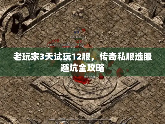 老玩家3天试玩12服,传奇私服选服避坑全攻略 老玩家3天试玩12服,传奇私服选服避坑全攻略