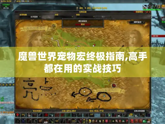 魔兽世界宠物宏终极指南,高手都在用的实战技巧