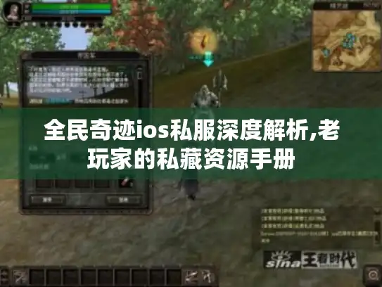 全民奇迹ios私服深度解析,老玩家的私藏资源手册