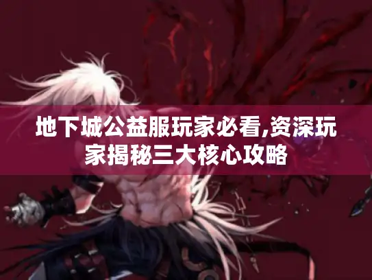 地下城公益服玩家必看,资深玩家揭秘三大核心攻略