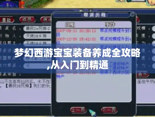 梦幻西游宝宝装备养成全攻略,从入门到精通