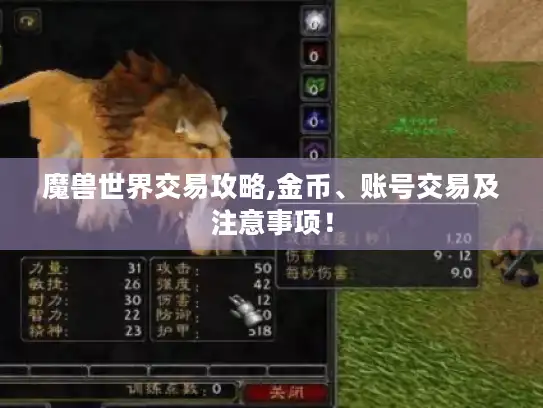 魔兽世界交易攻略,金币、账号交易及注意事项！