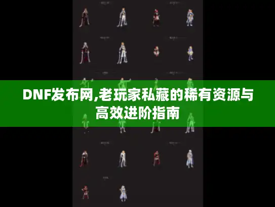 DNF发布网,老玩家私藏的稀有资源与高效进阶指南