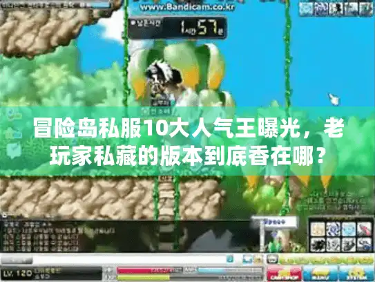 冒险岛私服10大人气王曝光，老玩家私藏的版本到底香在哪？