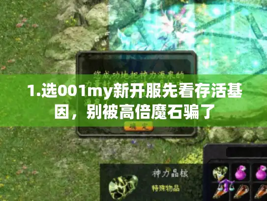 1.选001my新开服先看存活基因，别被高倍魔石骗了