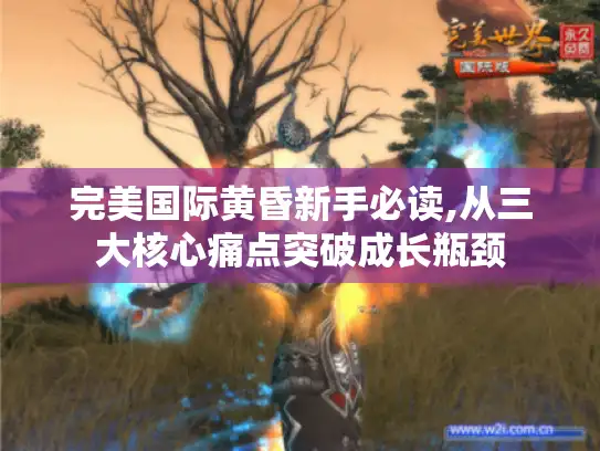 完美国际黄昏新手必读,从三大核心痛点突破成长瓶颈