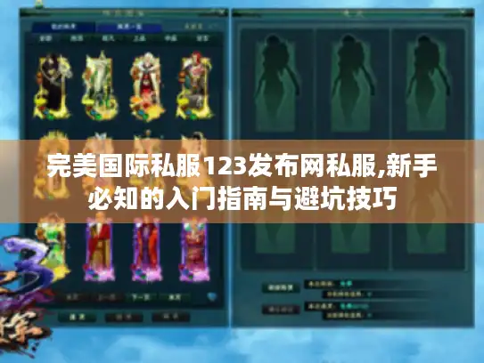 完美国际私服123发布网私服,新手必知的入门指南与避坑技巧