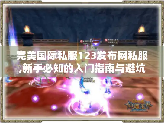 完美国际私服123发布网私服,新手必知的入门指南与避坑技巧
