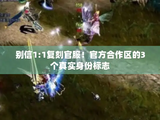 别信1:1复刻官服!官方合作区的3个真实身份标志 别信1:1复刻官服!官方合作区的3个真实身份标志