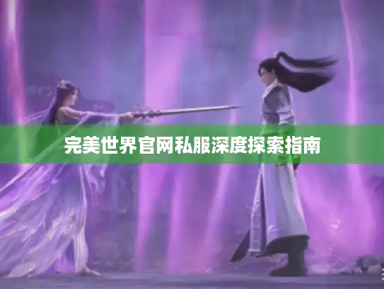 完美世界官网私服深度探索指南