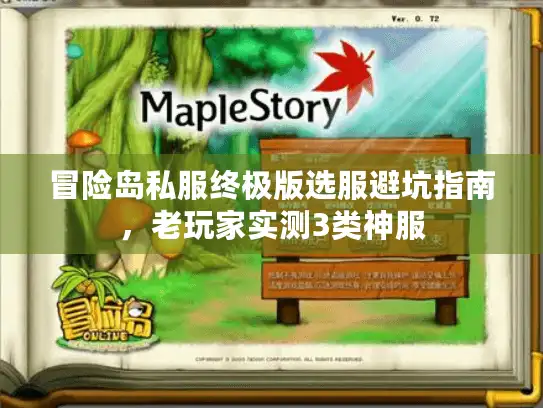 冒险岛私服终极版选服避坑指南，老玩家实测3类神服