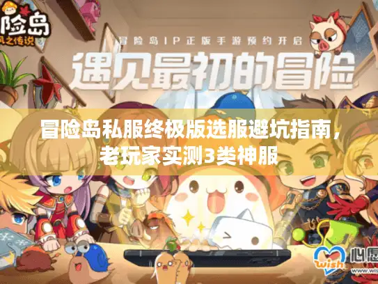 冒险岛私服终极版选服避坑指南，老玩家实测3类神服