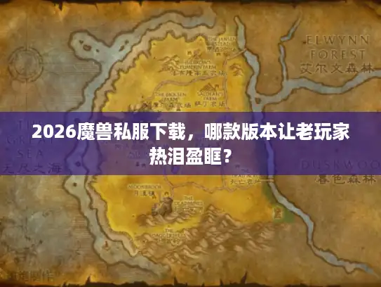 2026魔兽私服下载，哪款版本让老玩家热泪盈眶？