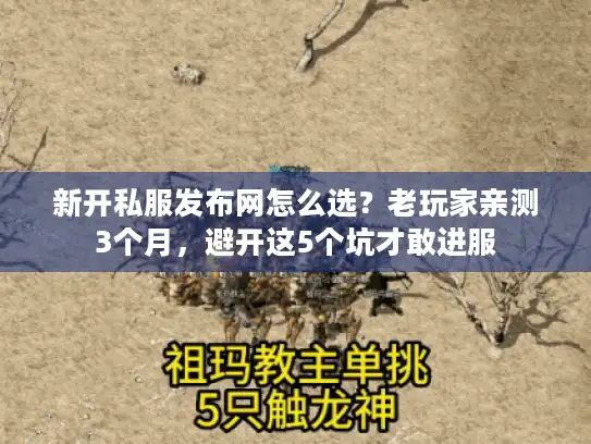 新开私服发布网怎么选？老玩家亲测3个月，避开这5个坑才敢进服