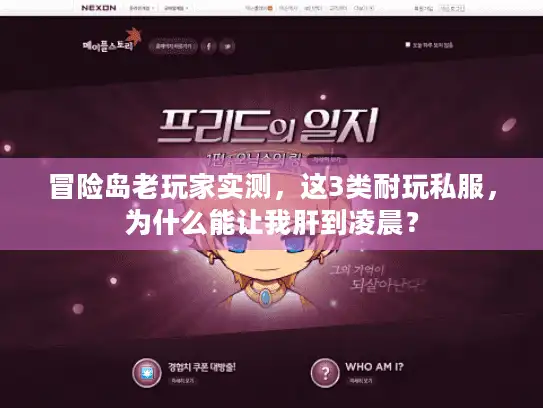 冒险岛老玩家实测，这3类耐玩私服，为什么能让我肝到凌晨？