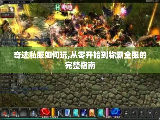 奇迹私服如何玩,从零开始到称霸全服的完整指南