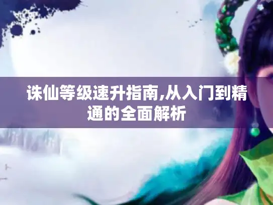 诛仙等级速升指南,从入门到精通的全面解析