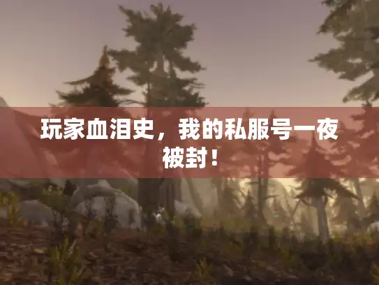 玩家血泪史，我的私服号一夜被封！