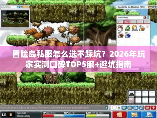冒险岛私服怎么选不踩坑?2026年玩家实测口碑TOP5服+避坑指南 冒险岛私服怎么选不踩坑?2026年玩家实测口碑TOP5服+避坑指南