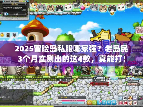 2025冒险岛私服哪家强？老岛民3个月实测出的这4款，真能打！