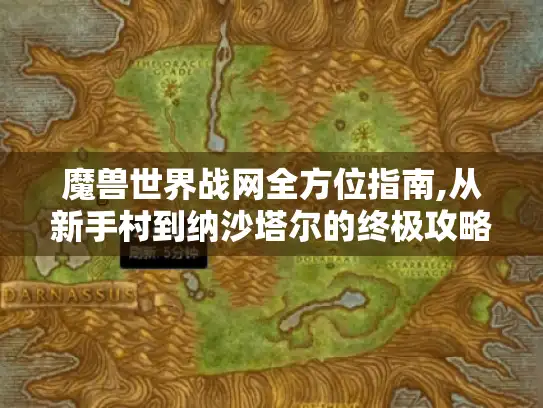 魔兽世界战网全方位指南,从新手村到纳沙塔尔的终极攻略