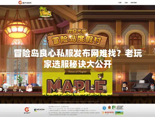 冒险岛良心私服发布网难找？老玩家选服秘诀大公开