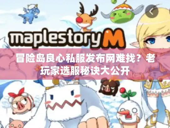 冒险岛良心私服发布网难找？老玩家选服秘诀大公开