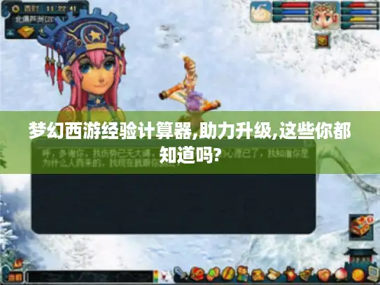 梦幻西游经验计算器,助力升级,这些你都知道吗?