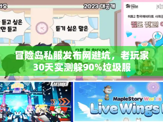 冒险岛私服发布网避坑，老玩家30天实测躲90%垃圾服
