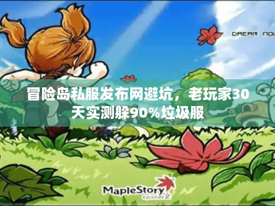 冒险岛私服发布网避坑，老玩家30天实测躲90%垃圾服