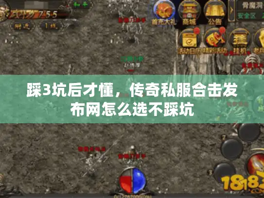 踩3坑后才懂，传奇私服合击发布网怎么选不踩坑