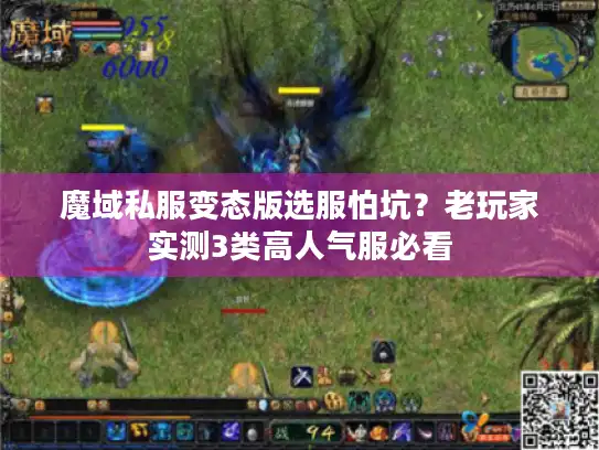 魔域私服变态版选服怕坑？老玩家实测3类高人气服必看