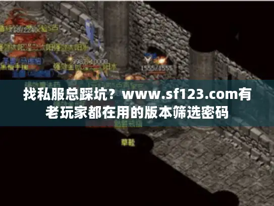 找私服总踩坑？www.sf123.com有老玩家都在用的版本筛选密码