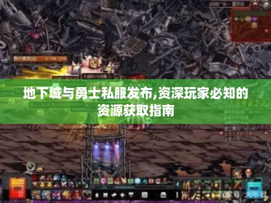地下城与勇士私服发布,资深玩家必知的资源获取指南