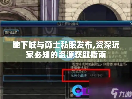地下城与勇士私服发布,资深玩家必知的资源获取指南